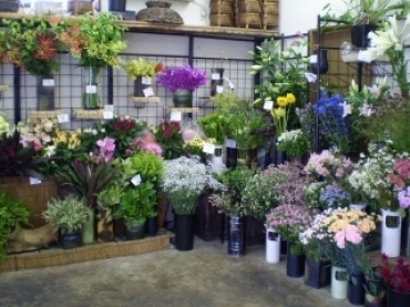 「花盛園」　（愛知県半田市）の花屋店舗写真4